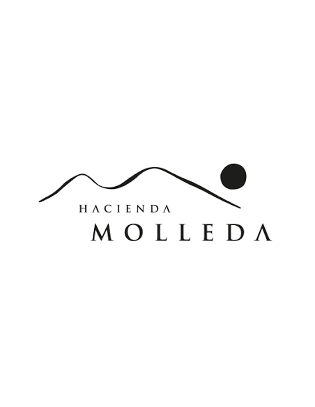 Hacienda Molleda